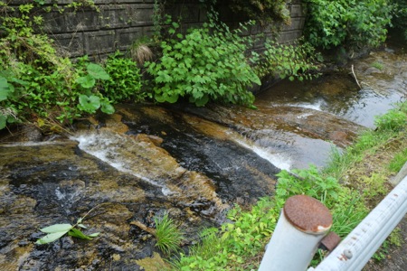 a0218499_10313251.jpg