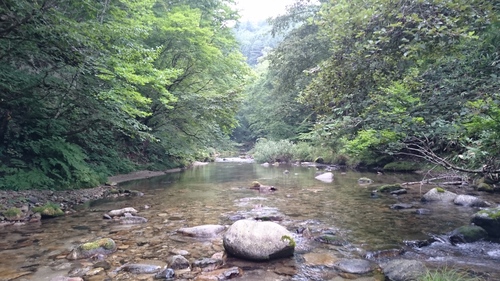 b0172805_23323120.jpg