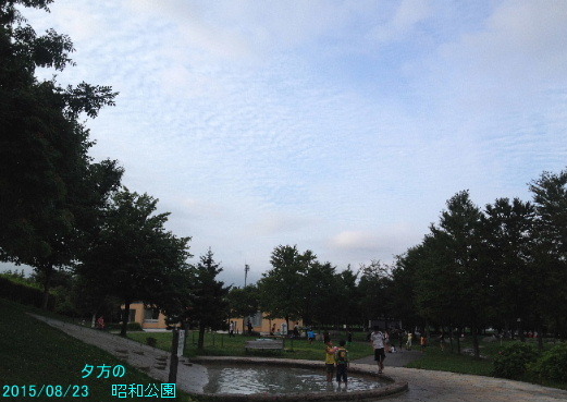 a0337807_20374320.jpg