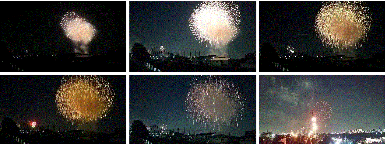 f0231709_10502052.gif