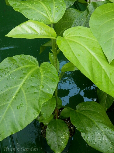 b0099813_091562.jpg