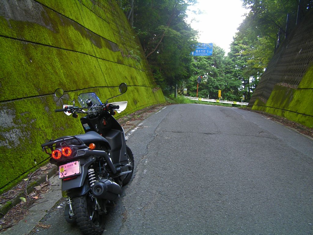 c0001613_13465019.jpg