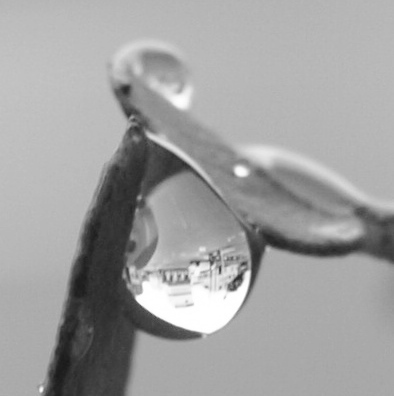 c0247614_15364823.jpg