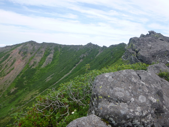 d0170615_6111979.jpg