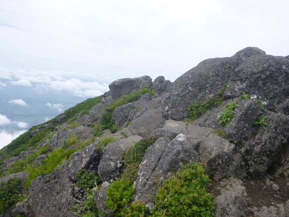 d0170615_6113048.jpg