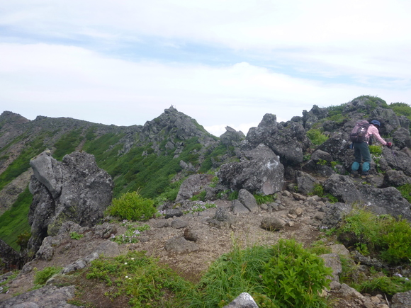 d0170615_6123492.jpg