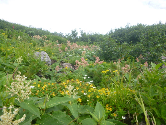 d0170615_6125141.jpg