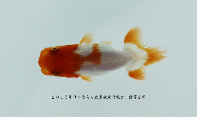 c0162817_19265331.jpg
