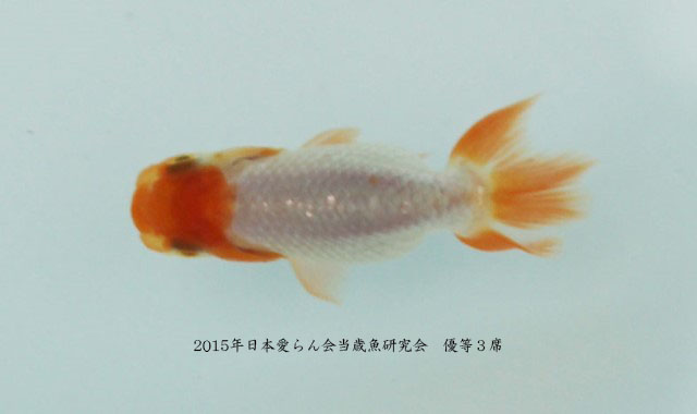 c0162817_1927677.jpg