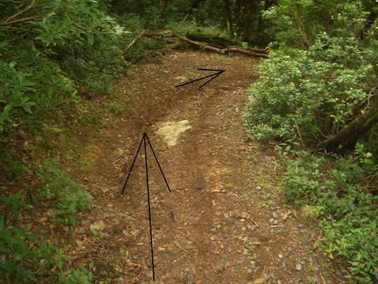 b0222530_19304448.jpg
