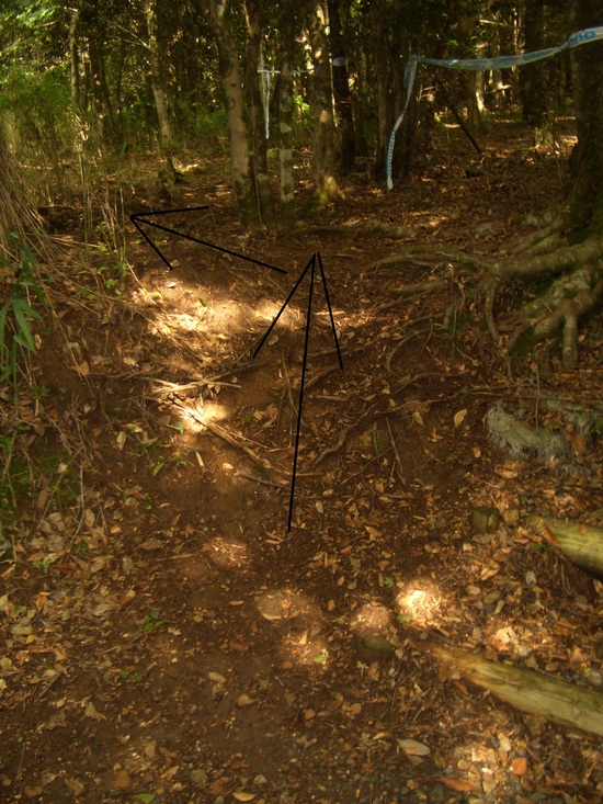 b0222530_1930558.jpg