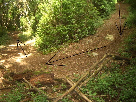 b0222530_1931887.jpg