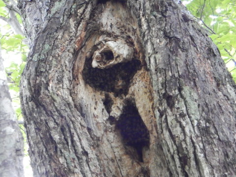 f0118332_10121909.jpg