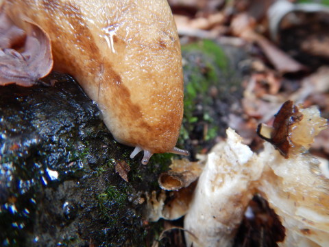 f0118332_10152901.jpg