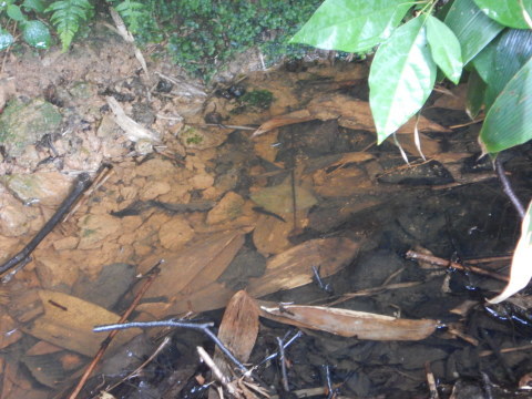f0118332_10195991.jpg