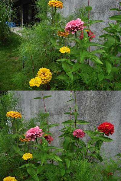 d0037233_10085356.jpg