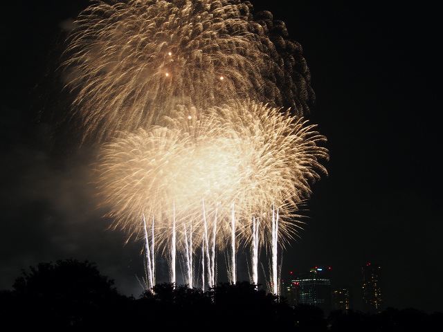 f0321433_23001468.jpg