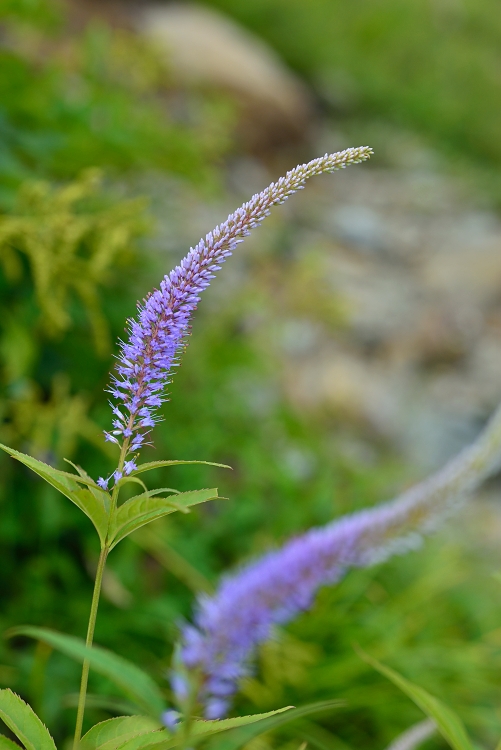 b0236334_97991.jpg
