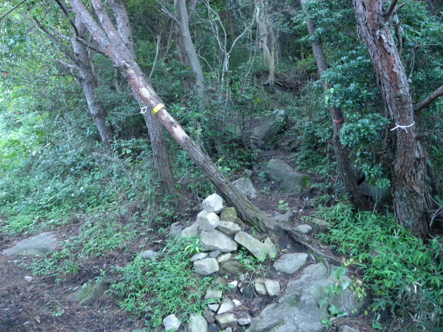 e0272335_20334781.jpg