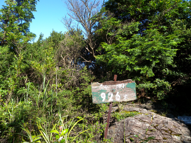e0272335_20583528.jpg