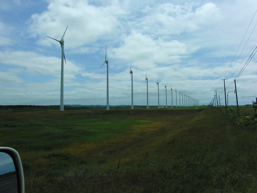c0183137_10515137.jpg
