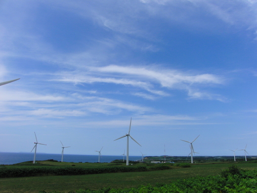 c0183137_10522429.jpg