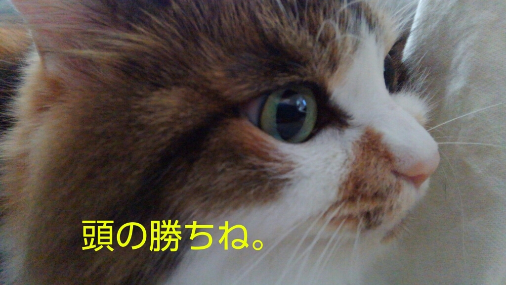 c0181639_14115409.jpg