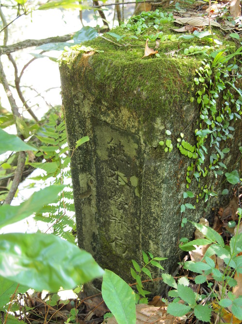 b0199742_2212066.jpg