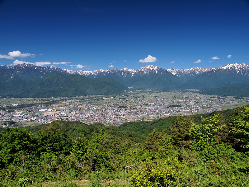 a0106043_234466.jpg