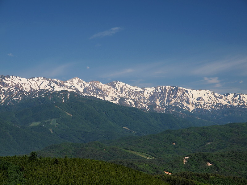 a0106043_2362221.jpg