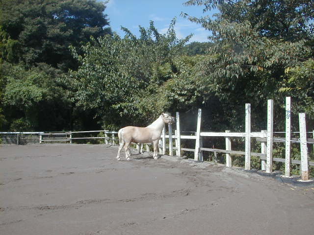 a0305943_08265442.jpg