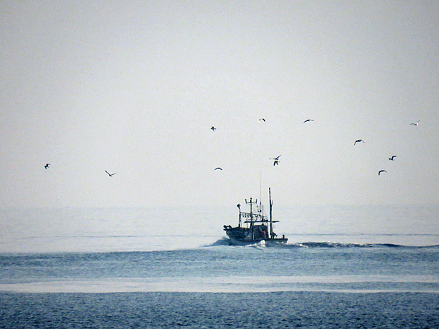 f0214649_5182960.jpg