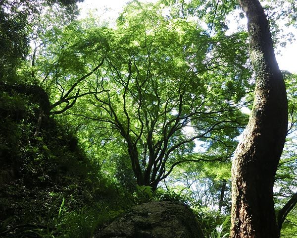 e0035757_18430923.jpg