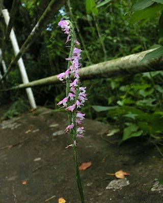 e0035757_18443817.jpg