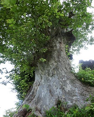 e0035757_18450872.jpg