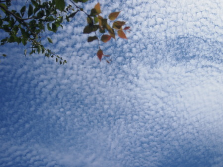 b0246758_19511810.jpg