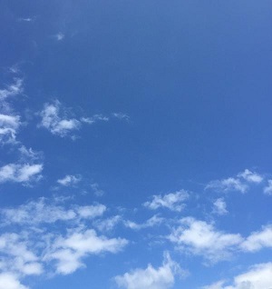 f0221360_11581029.jpg