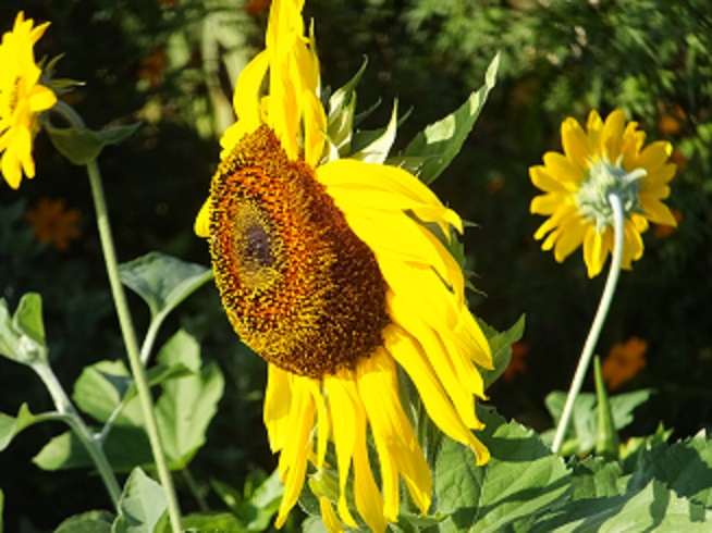 f0113862_16205762.jpg