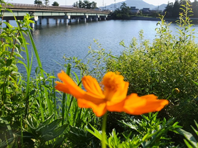 f0113862_1625892.jpg