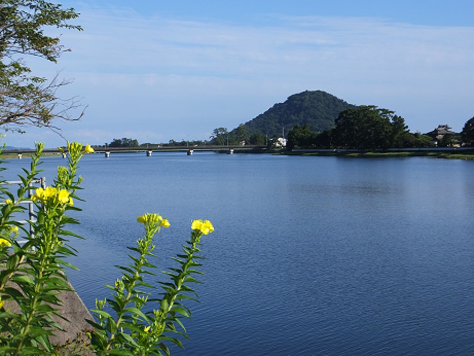 f0113862_16342858.jpg