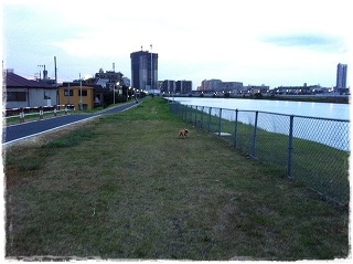 c0135363_349662.jpg