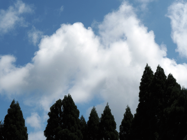 e0346064_17275235.gif