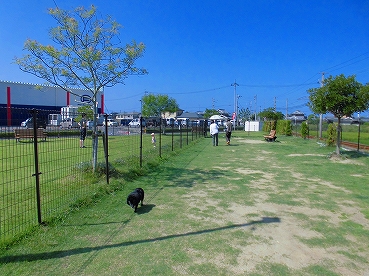 e0002466_12121136.jpg