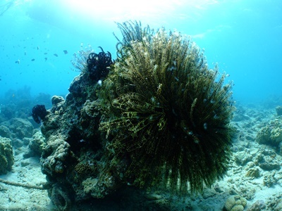 b0033573_23242860.jpg