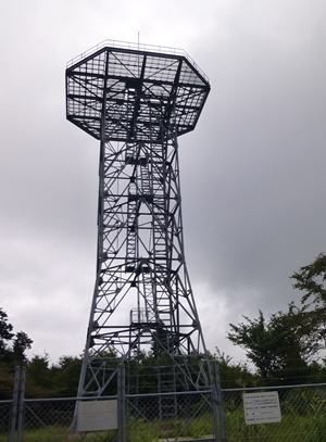 d0126573_162509.jpg