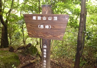 d0126573_16264193.jpg