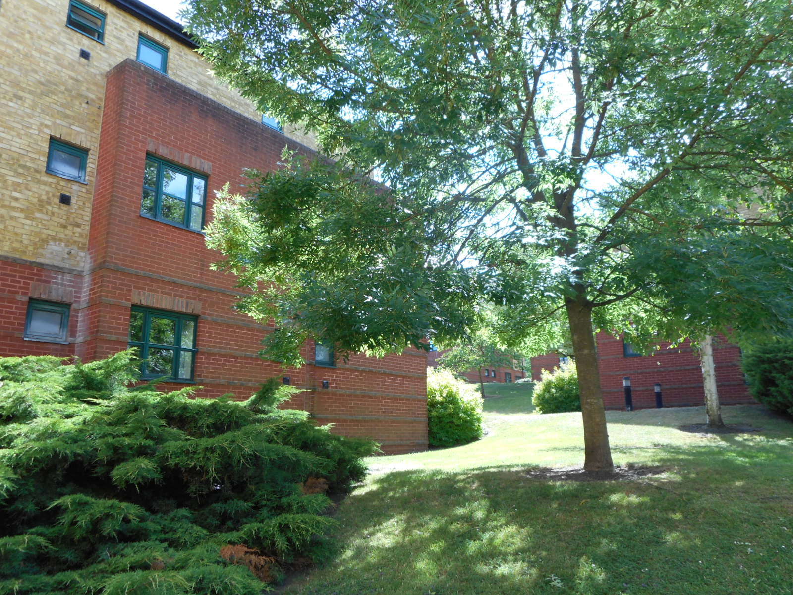f0163873_22464046.jpg
