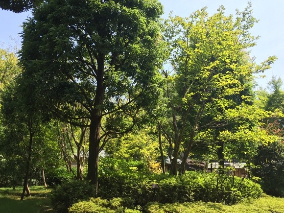 a0152078_10184359.jpg