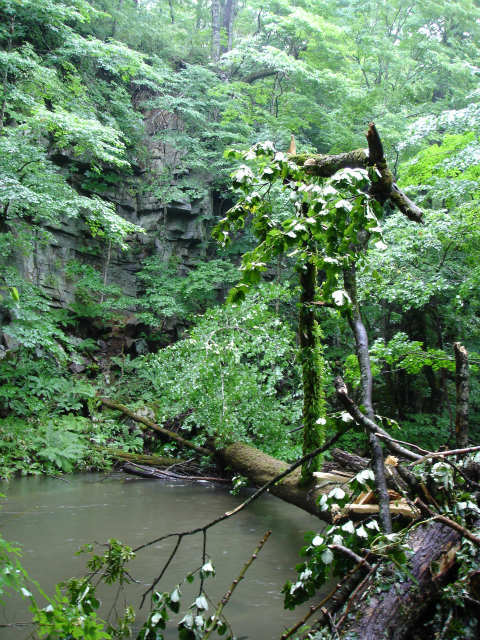 d0165378_09271666.jpg