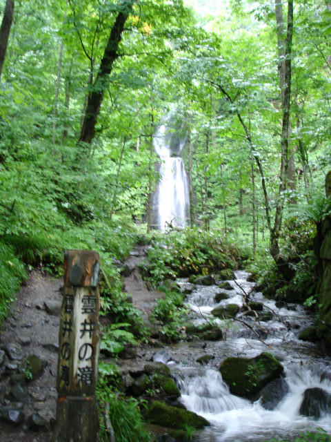 d0165378_09294659.jpg